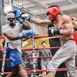 Photo #11: Boxing & Conditioning Training with NYC Golden Gloves Champ