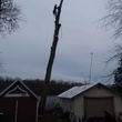Photo #6: COONEY'S TREE SURGEONS