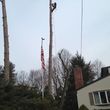 Photo #9: Tj's Tree Service LLC