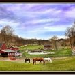 Photo #1: Private farm, trail riding, 3 stalls available $375/mo