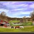 Photo #1: Private farm, trail riding, 3 stalls available $375/mo