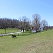 Photo #13: Private farm, trail riding, 3 stalls available $375/mo
