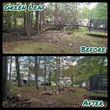 Photo #1: Green Leaf Yard & Tree Services