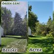 Photo #4: Green Leaf Yard & Tree Services