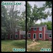 Photo #5: Green Leaf Yard & Tree Services