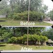 Photo #9: Green Leaf Yard & Tree Services