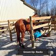 Photo #4: Full care horse boarding facility