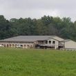 Photo #19: Full care horse boarding facility