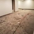 Photo #11: U.S Carpet and Vinyl Installations/ Next Day