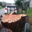 Photo #3: Stump grinding, tree trim
