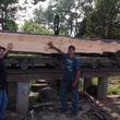 Photo #7:  Pro insured and sawmill