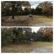 Photo #1: Land clearing / Forestry Mulching