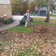 Photo #3: Leaf Removal and Curbside Pickup No Contract
