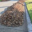 Photo #6: Leaf Removal and Curbside Pickup No Contract
