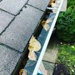 Photo #1: Clogged Downspouts 