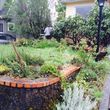 Photo #5: Rose City's Premier Landscape Maintenance