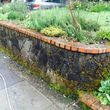Photo #6: Rose City's Premier Landscape Maintenance