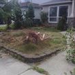 Photo #13: Rose City's Premier Landscape Maintenance
