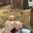 Photo #7: GENERAL PROPERTY CLEAN UPS