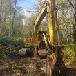 Photo #2: Excavator work (logging, stump, and brush removal and clean up)