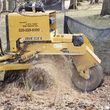 Photo #3: Deans Stump Removal.