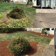 Photo #15: Dexter Freamon's lawn maintenance 