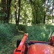 Photo #6: Field mowing - Brush Hog - Tractor Services
