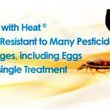 Photo #3: ♛  CROWN HEAT BED BUG ELIMINATORS *-