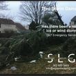 Photo #1: Wind Damage & Tree Removal