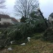 Photo #4: Wind Damage & Tree Removal