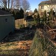 Photo #5: Wind Damage & Tree Removal