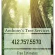 Photo #2: 
Anthony's Tree Services