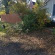 Photo #15: LAndscaping/Junk Removal/Pressure Washing & More!