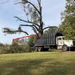 Photo #2: Land clearing and forestry mulching/ bushogging