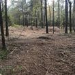 Photo #9: Land clearing and forestry mulching/ bushogging