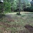 Photo #10: Land clearing and forestry mulching/ bushogging
