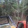 Photo #11: Land clearing and forestry mulching/ bushogging