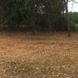 Photo #16: Land clearing and forestry mulching/ bushogging