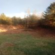 Photo #23: Land clearing and forestry mulching/ bushogging