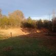 Photo #24: Land clearing and forestry mulching/ bushogging