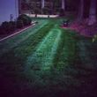 Photo #11: ###!!Veterans Lawn Service!!###