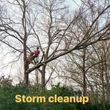 Photo #1: STORM CLEANUP - tree work