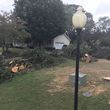 Photo #4: STORM CLEANUP - tree work