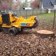 Photo #1: Stump grinding services