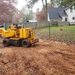 Photo #2: Stump grinding services