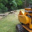 Photo #4: Stump grinding services