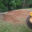 Photo #5: Stump grinding services