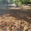 Photo #6: Stump grinding services
