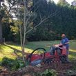 Photo #7: Stump grinding services