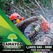 Photo #5: SAMAYOA TREE SERVICE